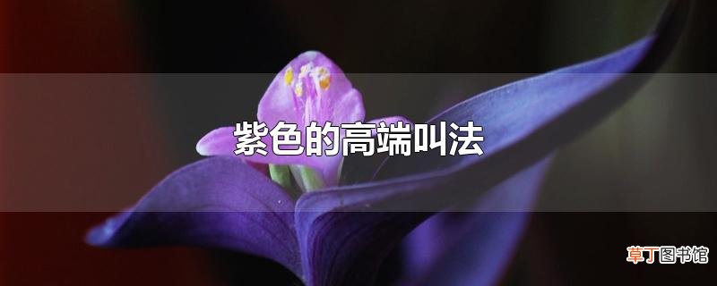 紫色的高端叫法