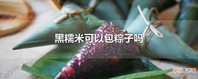黑糯米可以包粽子吗