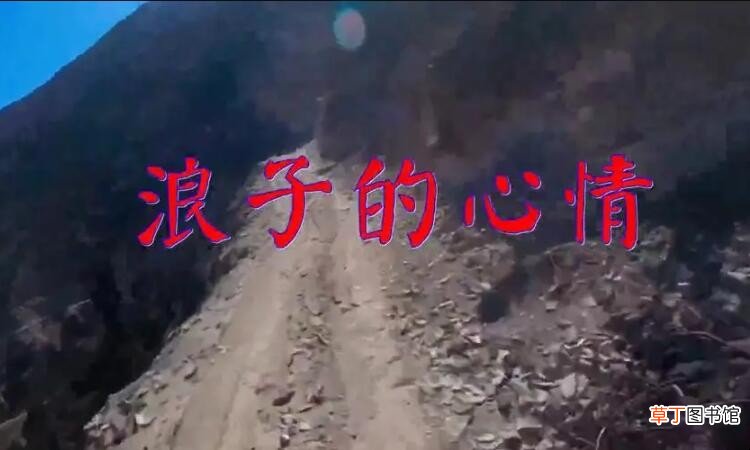 浪子是什么意思