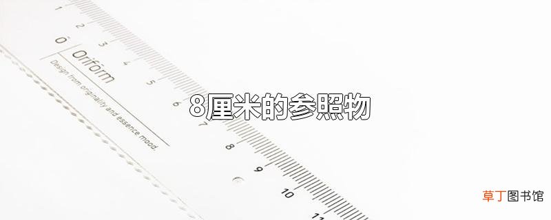 8厘米的参照物