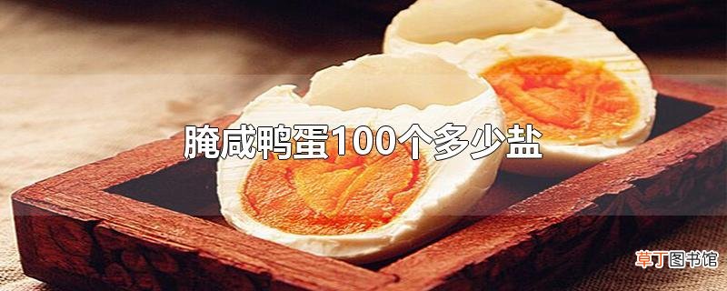 腌咸鸭蛋100个多少盐