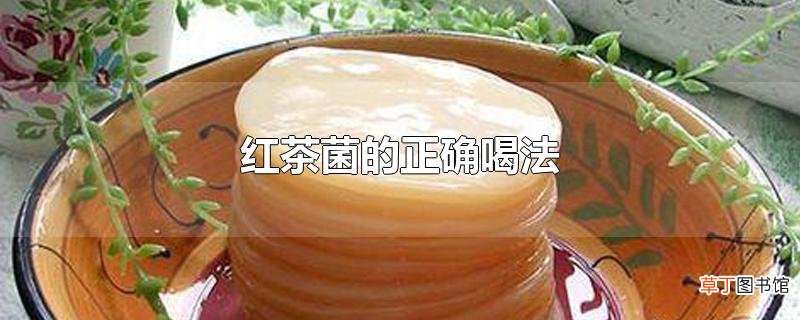 红茶菌的正确喝法