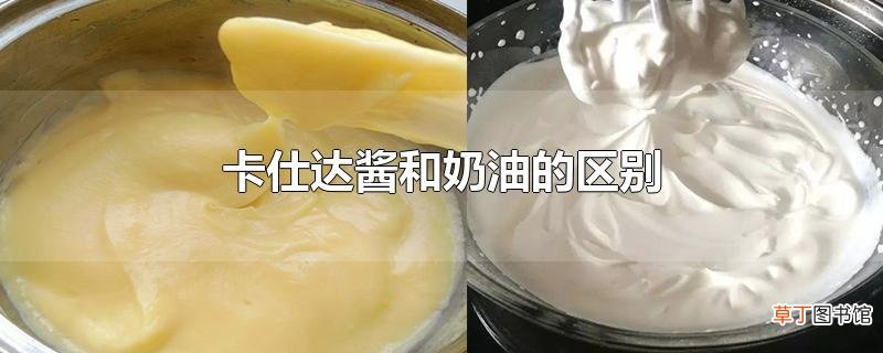 卡仕达酱和奶油的区别
