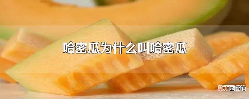 哈密瓜为什么叫哈密瓜