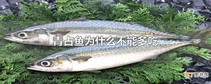 青占鱼为什么不能多吃