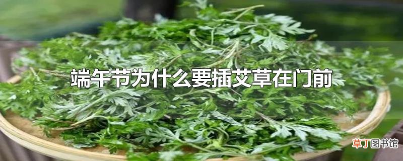 端午节为什么要插艾草在门前