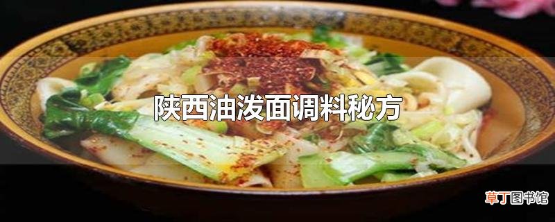 陕西油泼面调料秘方