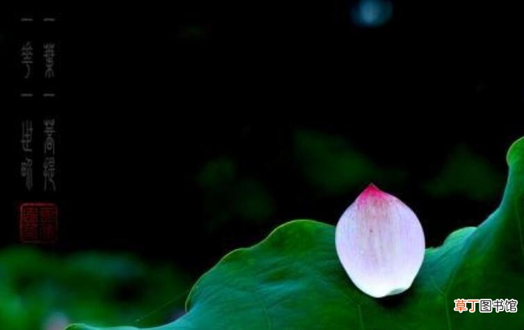 拂拭是什么意思