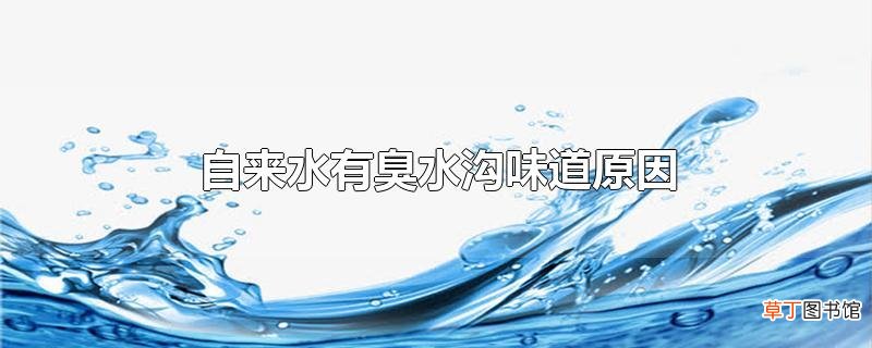 自来水有臭水沟味道原因