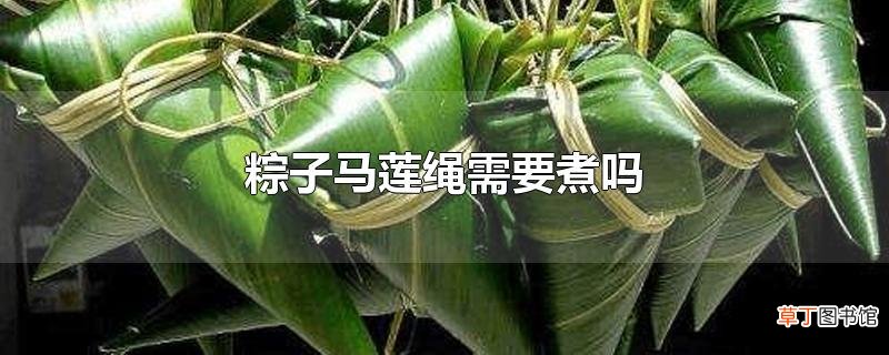 粽子马莲绳需要煮吗
