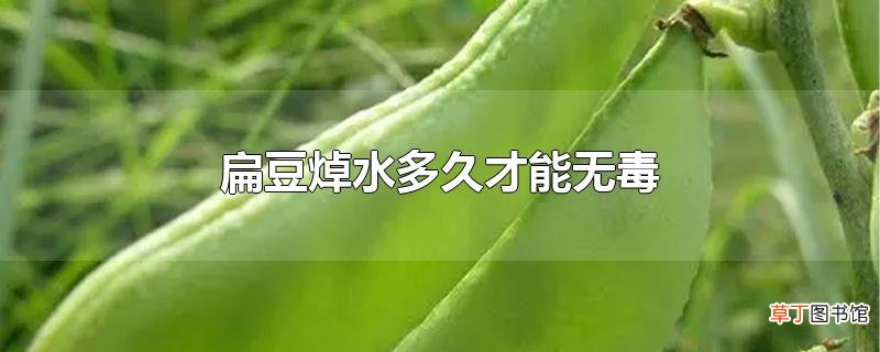 扁豆焯水多久才能无毒