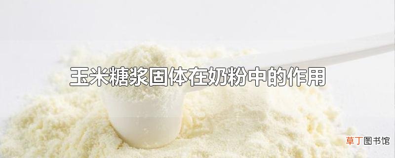 玉米糖浆固体在奶粉中的作用