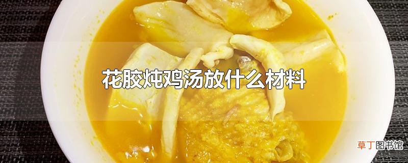 花胶炖鸡汤放什么材料