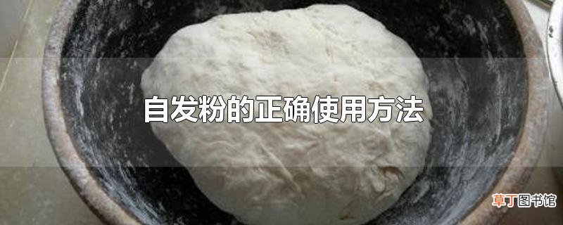 自发粉的正确使用方法
