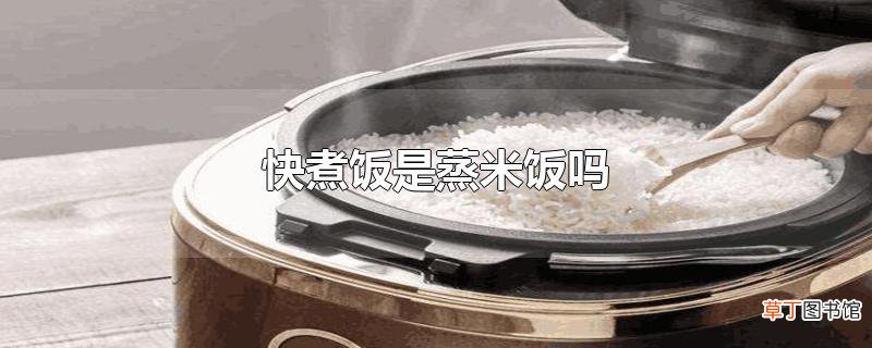 快煮饭是蒸米饭吗
