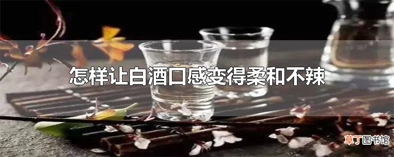 怎样让白酒口感变得柔和不辣