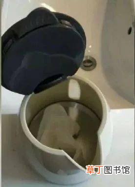 酒店水壶为什么不能用 网红主播在酒店水壶内撒尿?