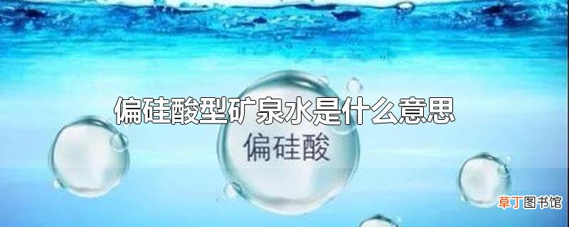 偏硅酸型矿泉水是什么意思