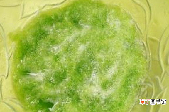 上火牙痛怎么办 上火牙痛吃什么好