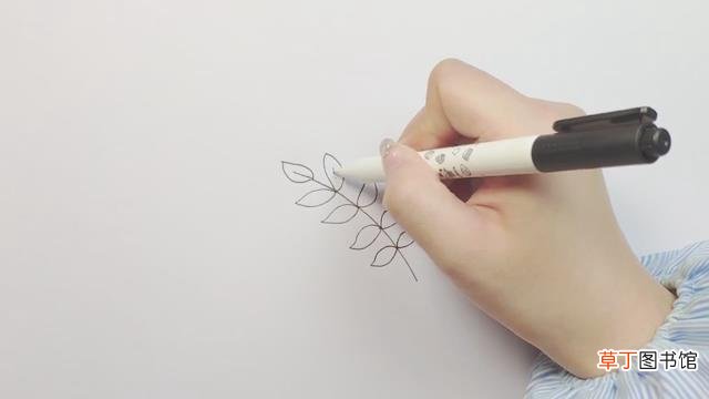 小叶片简笔画怎么画