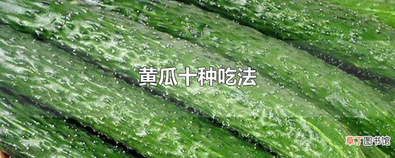 黄瓜十种吃法