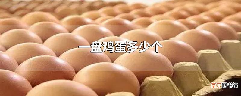 一盘鸡蛋多少个
