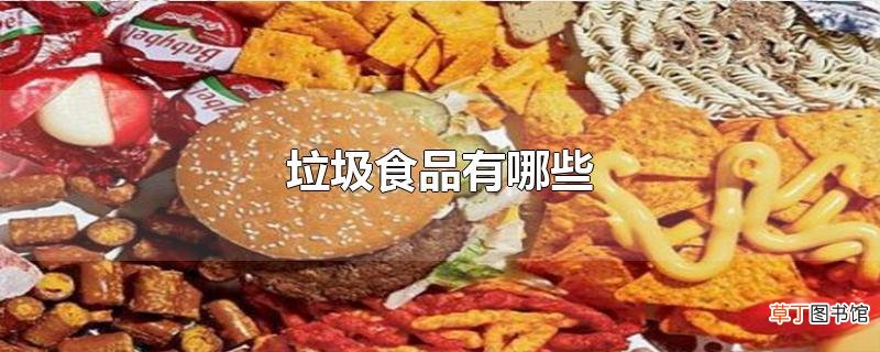 垃圾食品有哪些