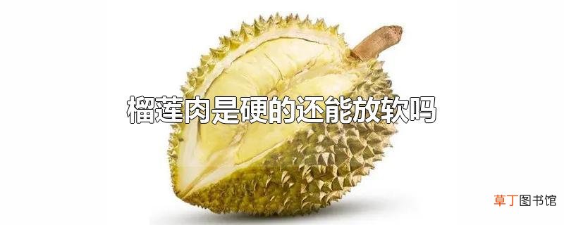 榴莲肉是硬的还能放软吗