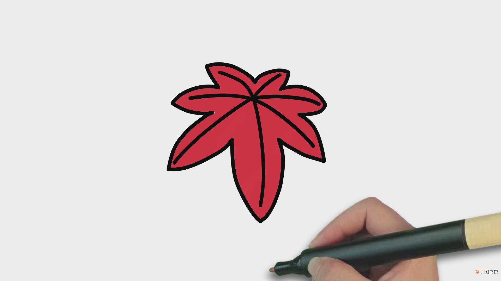 枫叶简笔画