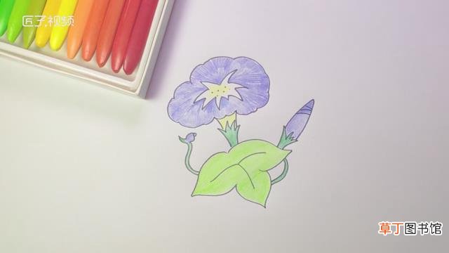 喇叭花怎么画