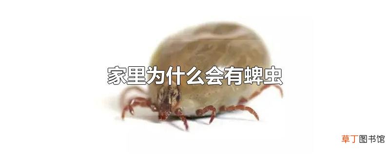 家里为什么会有蜱虫