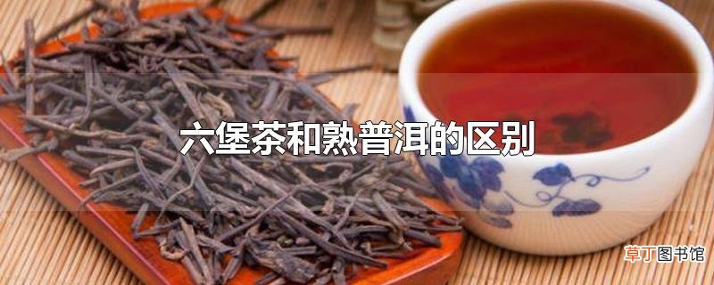 六堡茶和熟普洱的区别
