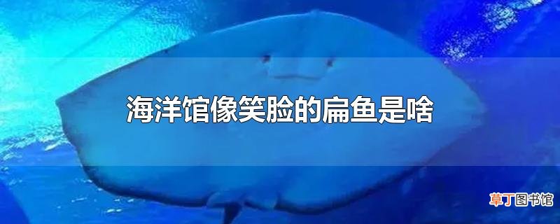 海洋馆像笑脸的扁鱼是啥