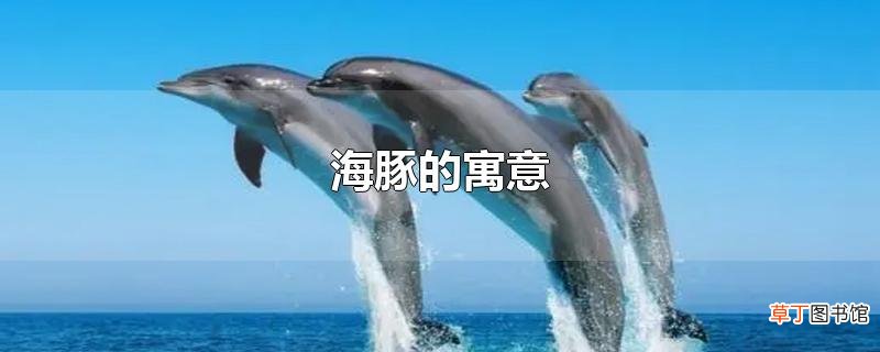 海豚的寓意