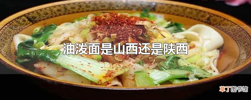 油泼面是山西还是陕西