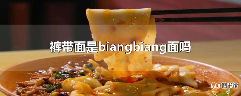 裤带面是biangbiang面吗