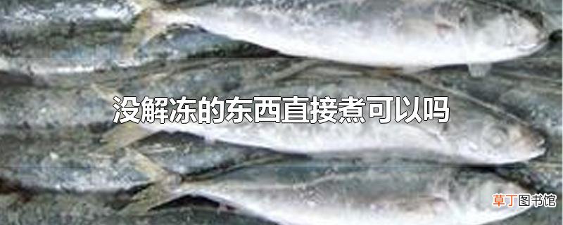 没解冻的东西直接煮可以吗