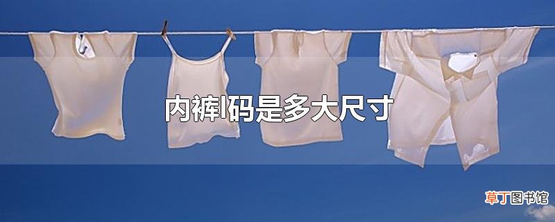 内裤l码是多大尺寸
