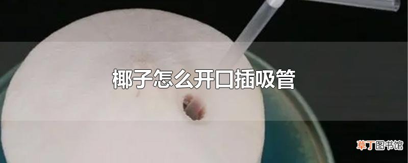 椰子怎么开口插吸管