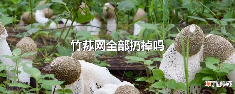 竹荪网全部扔掉吗