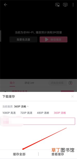 怎么从b站下载视频到本地