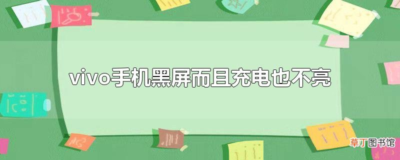 vivo手机黑屏而且充电也不亮