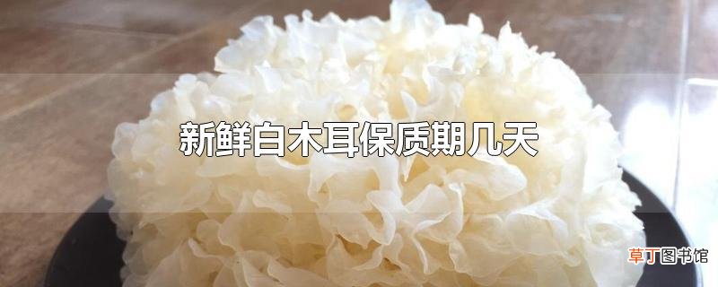 新鲜白木耳保质期几天