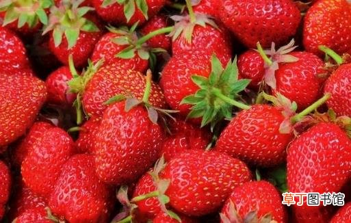 用水果来做菜对身体非常有好处 好吃易学的水果菜