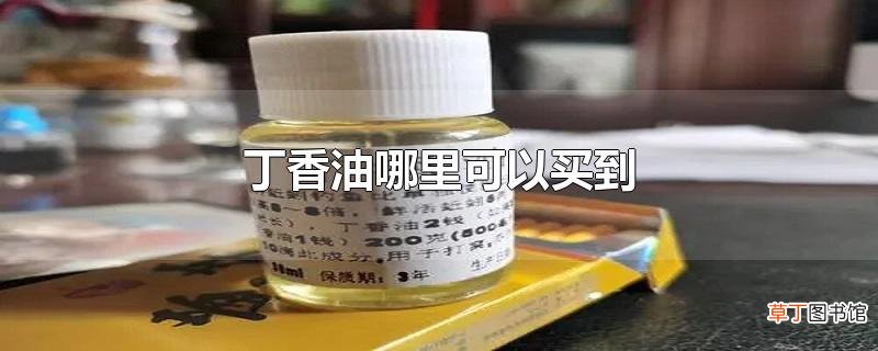 丁香油哪里可以买到