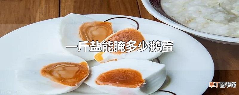 一斤盐能腌多少鹅蛋