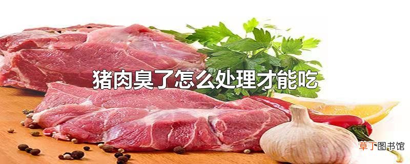 猪肉臭了怎么处理才能吃
