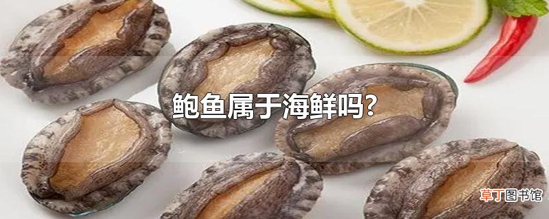 鲍鱼属于海鲜吗?