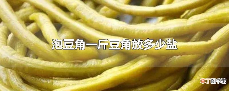 泡豆角一斤豆角放多少盐