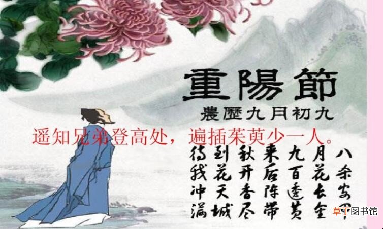 遍插茱萸少一人的意思是什么